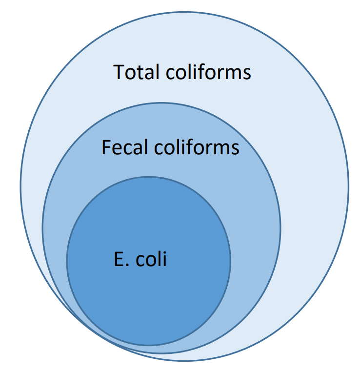 coliform report